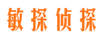 兰山侦探